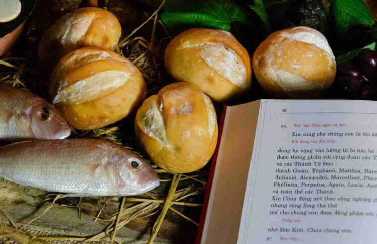 在上帝的“回收中心”29年 ——“流浪者之母”