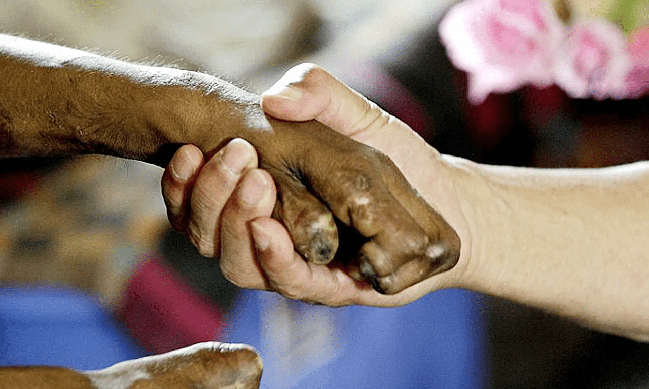 服事麻风病人，医治了麻木的我