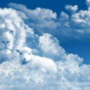 他活出了他所讲的道——十架门徒斯托得