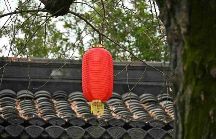 爱痛交织的回家过年