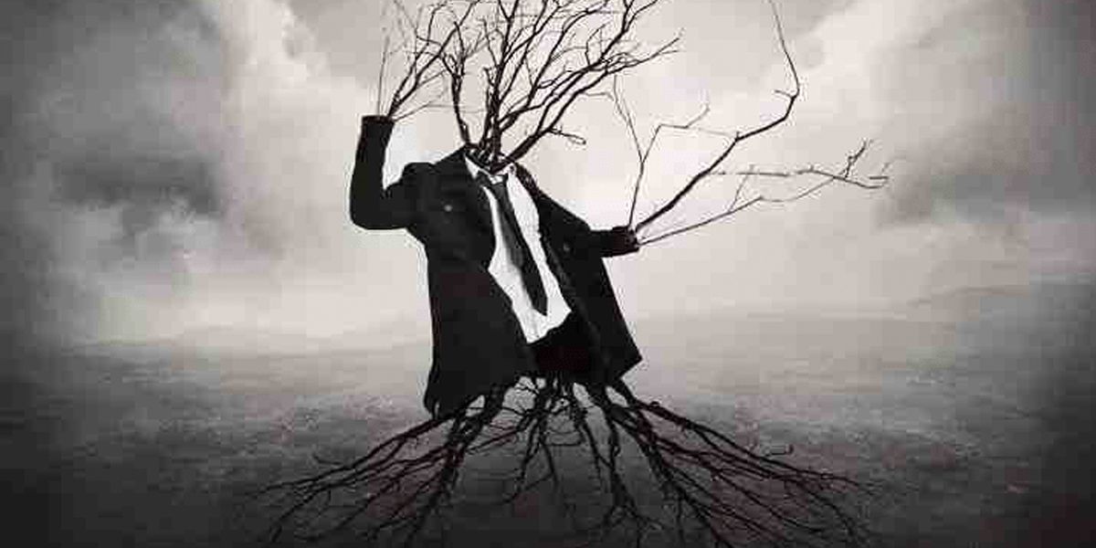 谁是孤独的终结者？