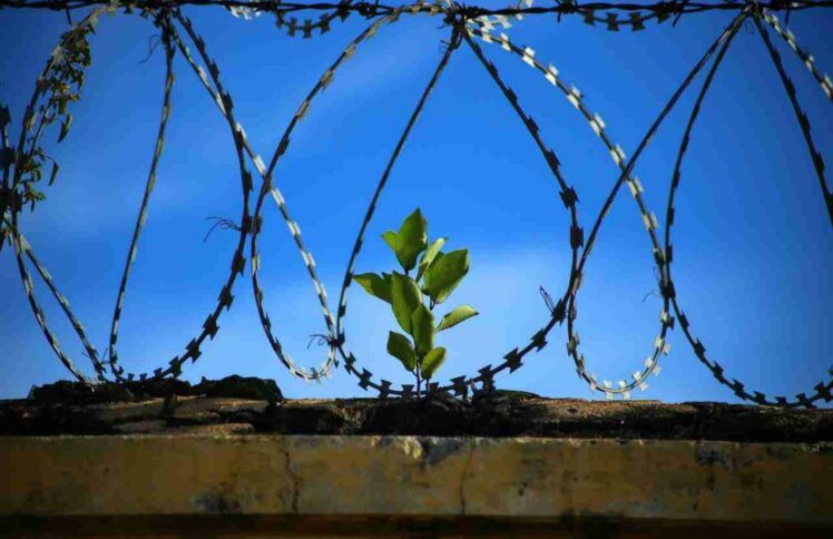 你我都是瘾君子?