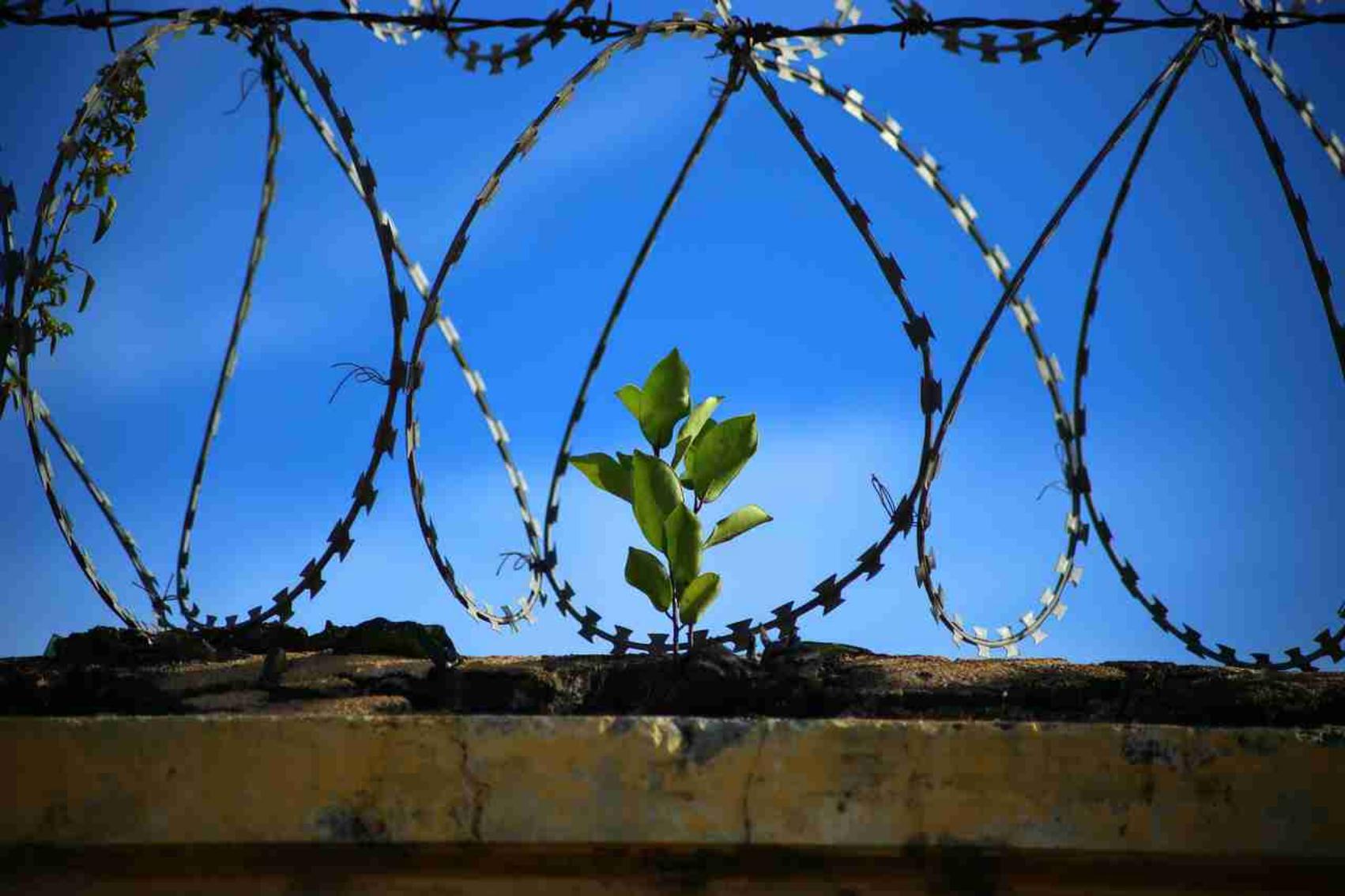 你我都是瘾君子？