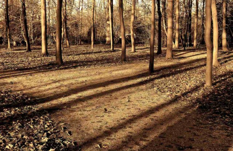 “大体老师”也值得被尊重——观《那个静默的阳光午后》