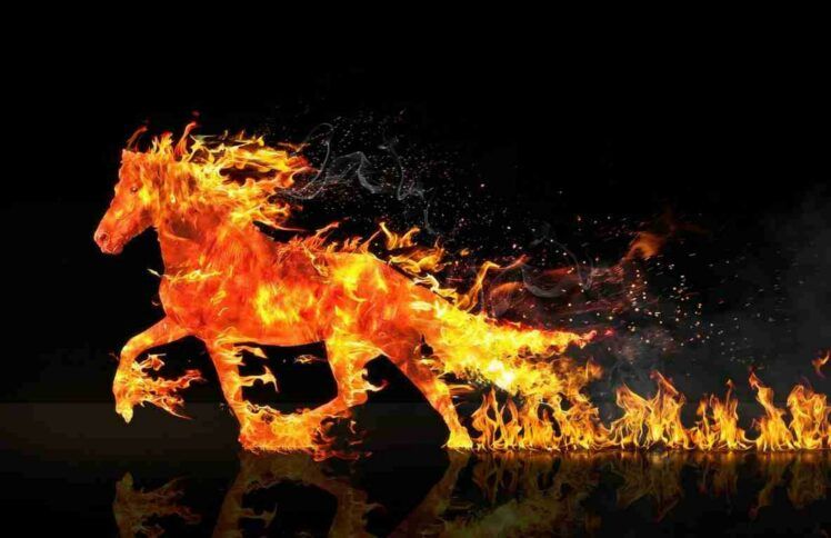 遭遇全身烧伤面积高达99％的重灾后