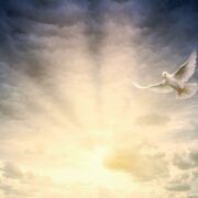 除去标签，我们究竟是谁？