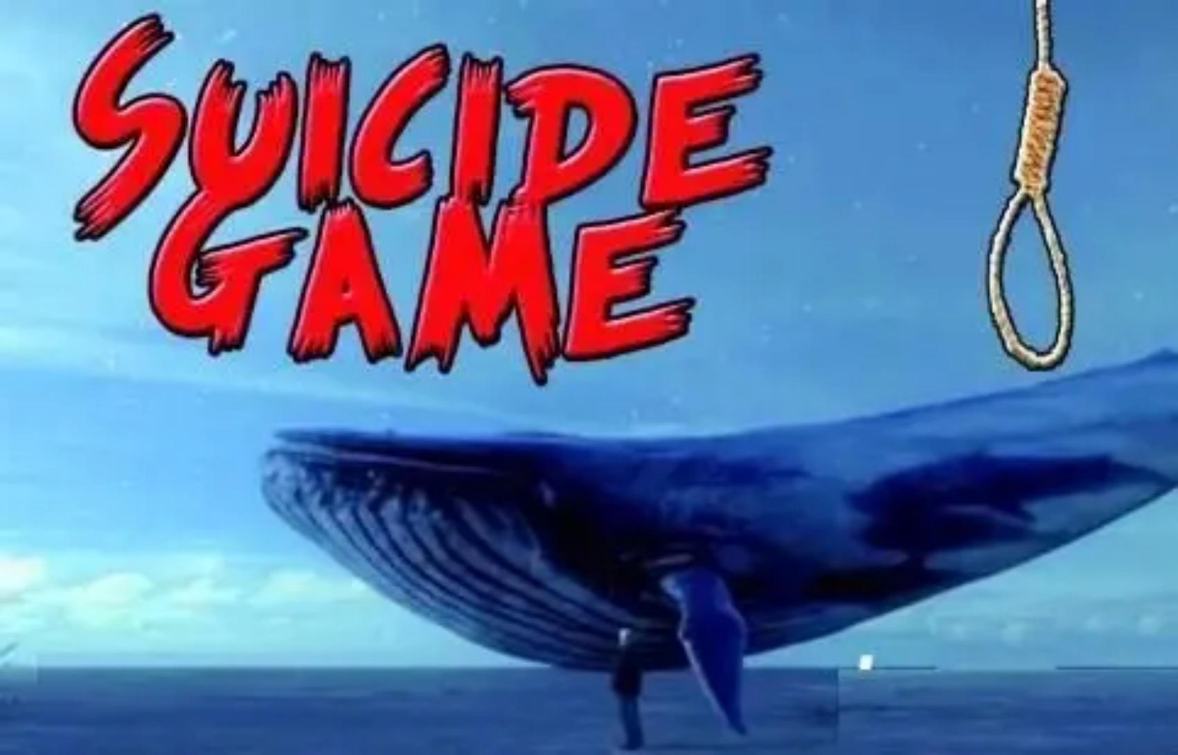 死亡游戏“蓝鲸”进入中国：谁推我落悬崖？