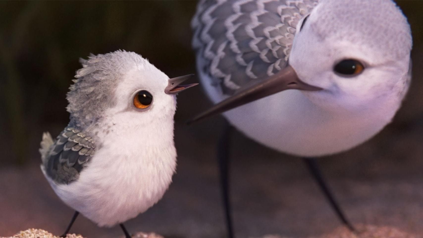 爱我，你就放开我——从奥斯卡最佳动画短片《鹬》说起