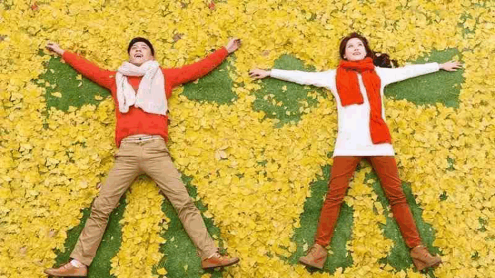 四海八荒，谁是你的理想伴侣？