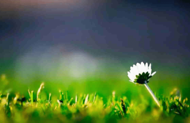 走过活死人的痛:车祸中失去四位至亲的席哲教授