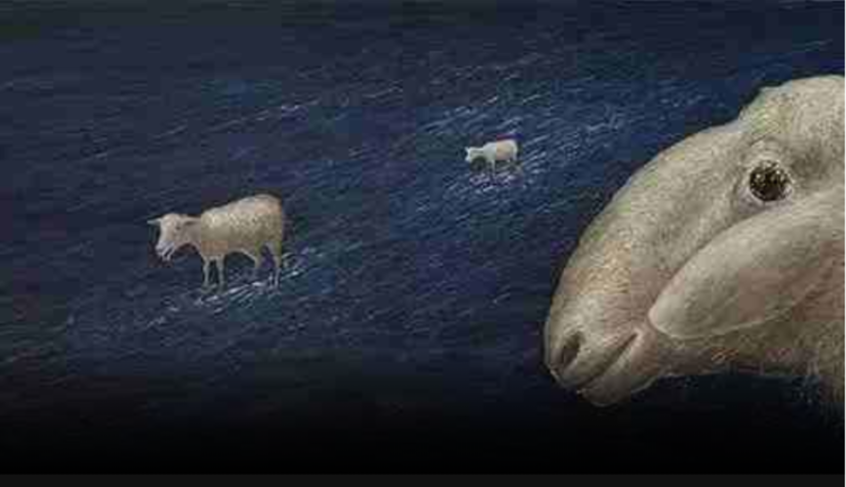 请你光照每一只迷途羔羊—— 朱久洋的画与人生