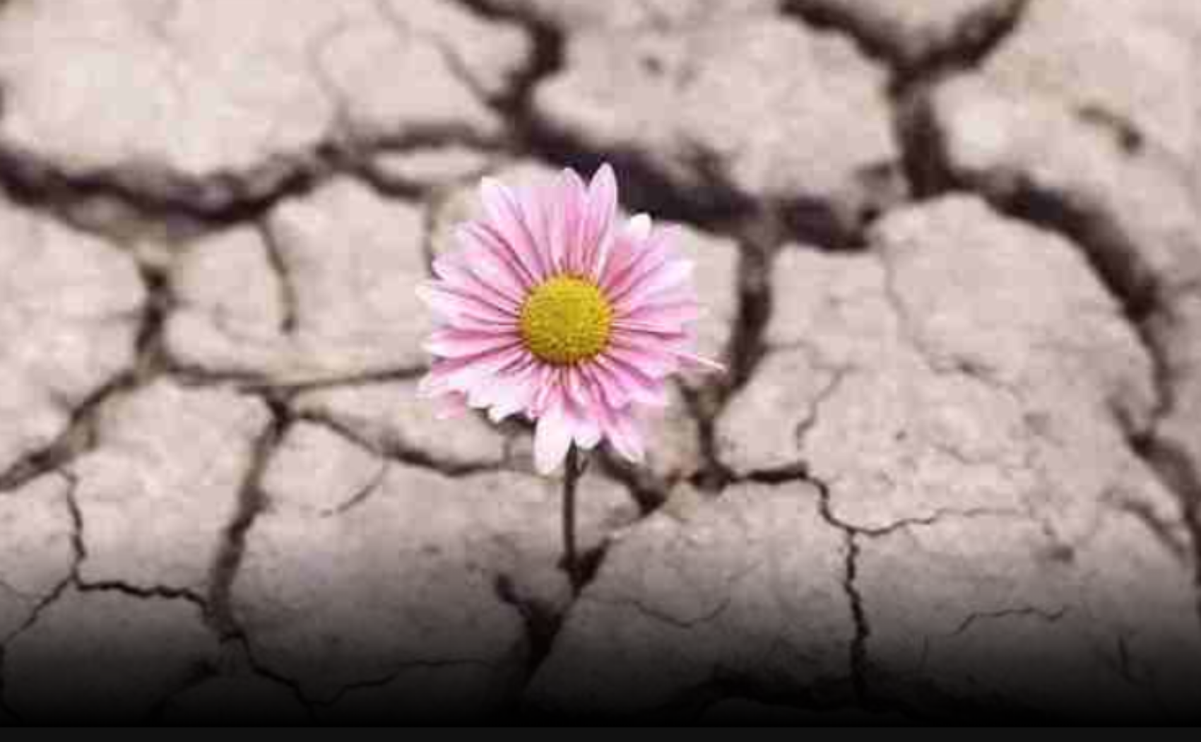 九寨沟地震亲历者的惊心时刻，汶川志愿者的回望