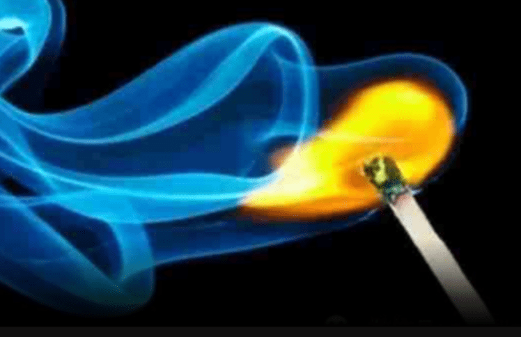 从情欲之火中抽出的一根柴