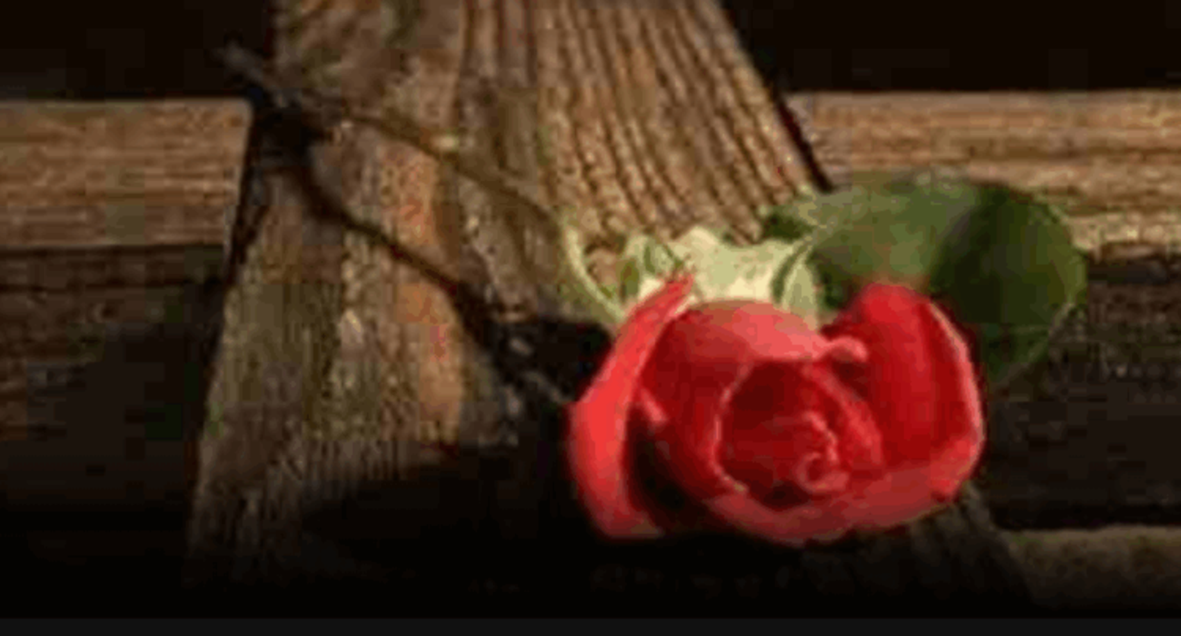 二次流产也能带来祝福吗？