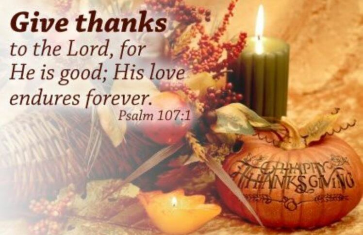 不感恩的感恩节