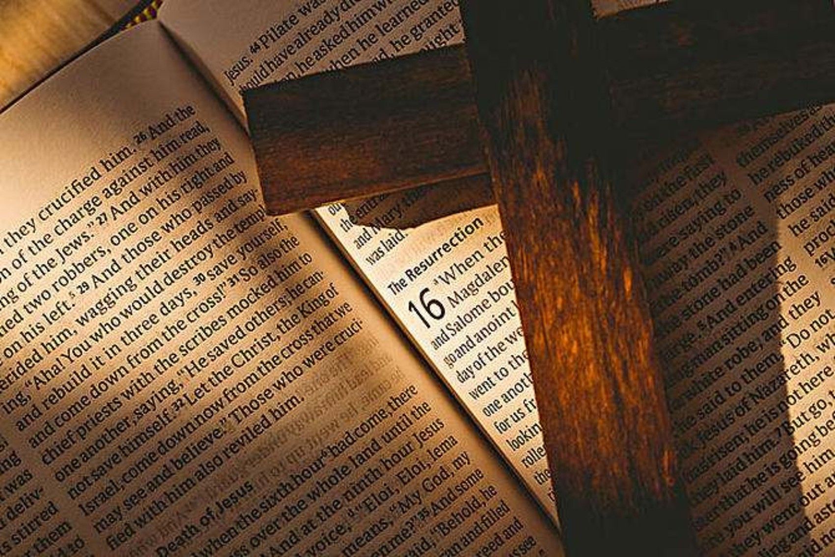 乱石堆中的乐歌——一个女同教授的自白