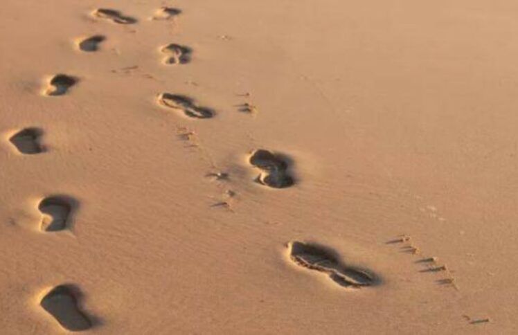 <a href="http://mp.weixin.qq.com/s?__biz=MzA4MzA2MTMzMA==&mid=209233419&idx=1&sn=749b31a0c7128adb84d14e58b6ca4364&chksm=167039362107b02002fd6ba9b4d43961eb43bb1193f8c2afad632b7024650cc4f199f3408419&scene=21#wechat_redirect">脚印•行淫•新人</a>