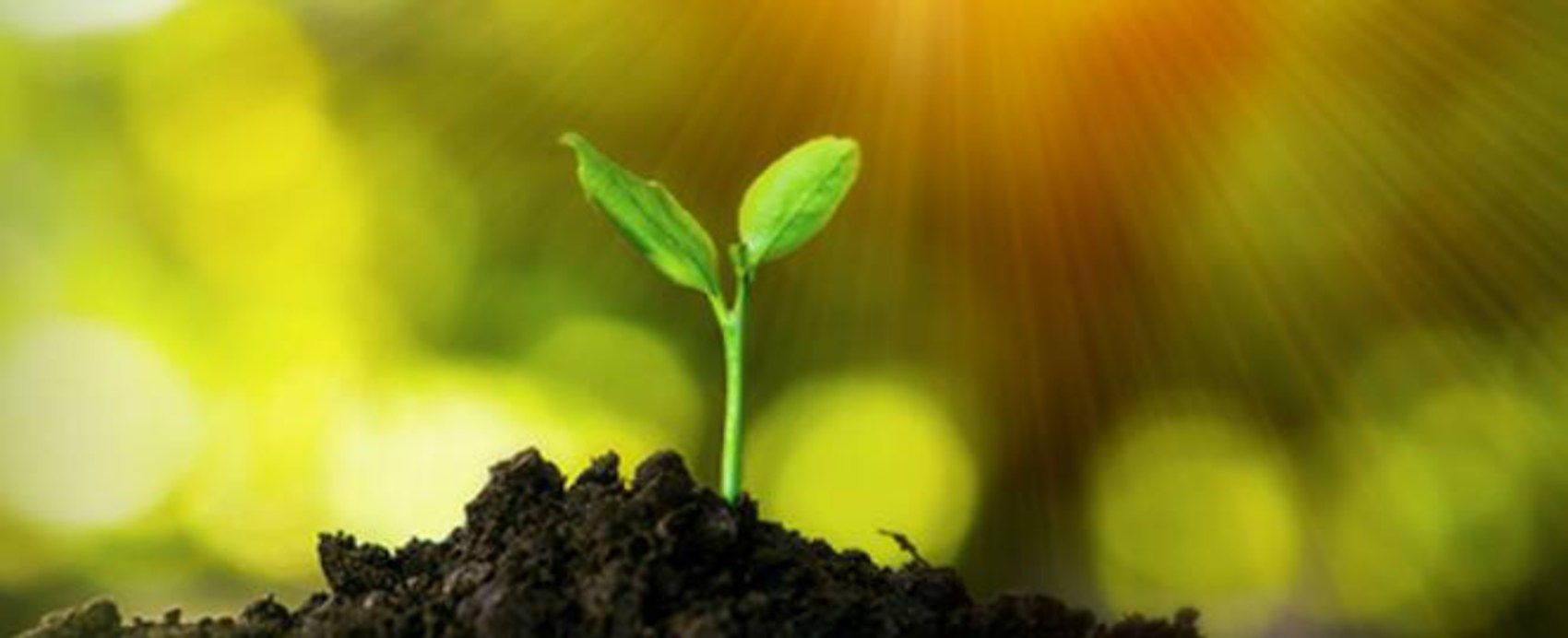 吸毒坠15楼后的突破人生