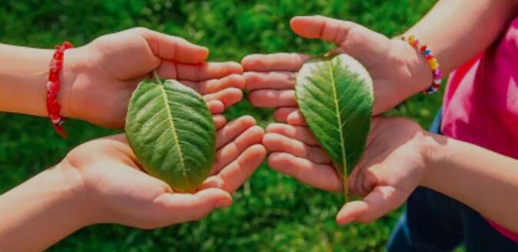 目送：女儿你慢慢的走