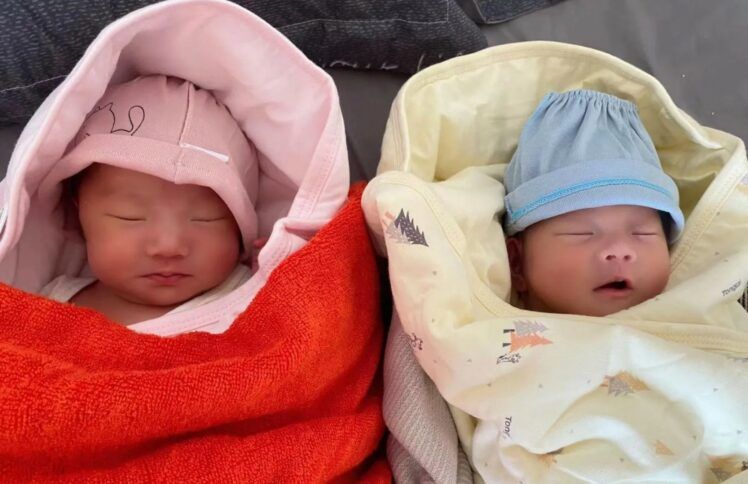 留住双胞胎，我一步一步归向神