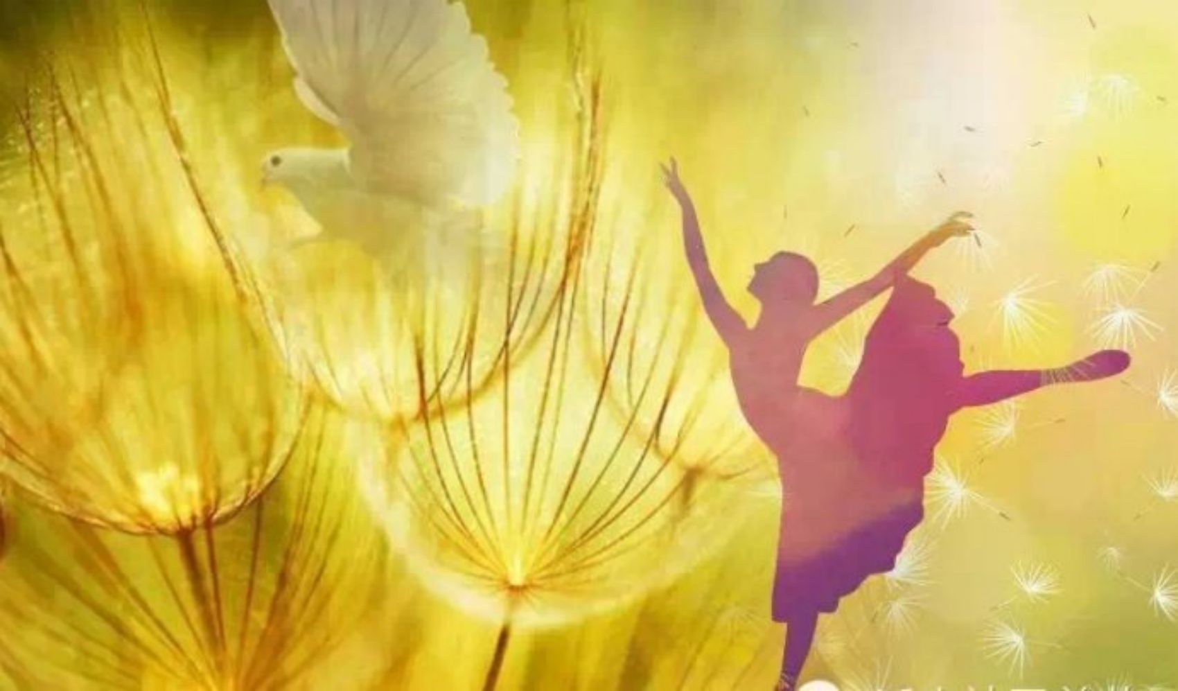 <strong>我的婚姻和求子苦旅</strong>