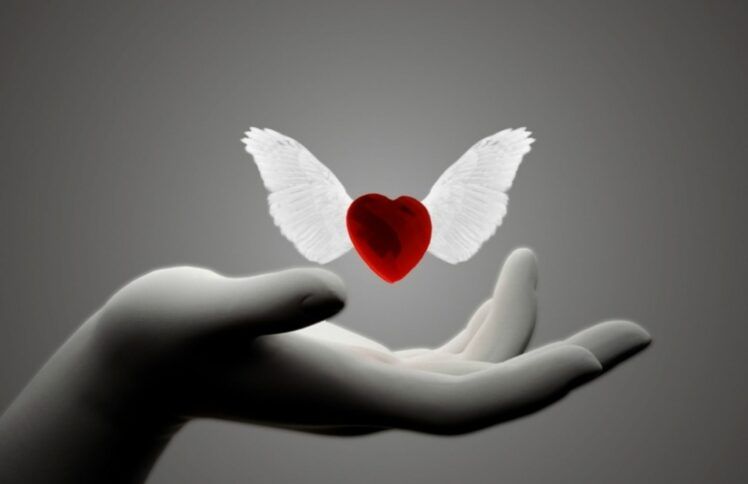 最大的人生赢家是学会爱——从哈佛76年“成功人生”研究谈起