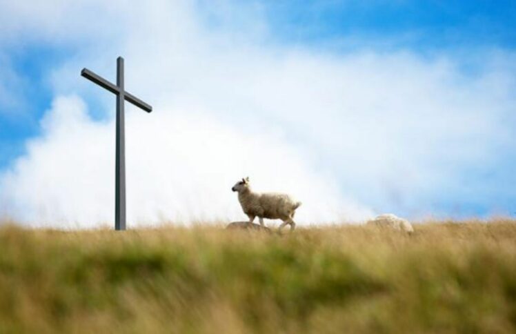 谁说“属羊命不好”？