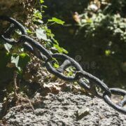 被侮辱与被损害的她和你我（仅音频）