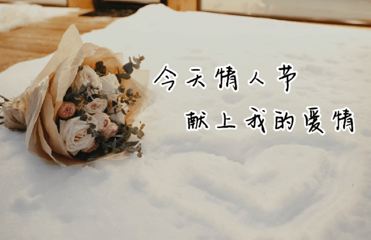 今天情人节，献上我的爱情