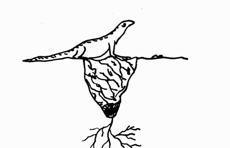 生命很奇妙，未来值得你期待