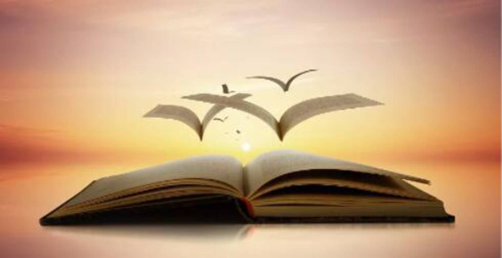 病中遇见主，寻找人生呼召|艾阮原创音乐及绘画