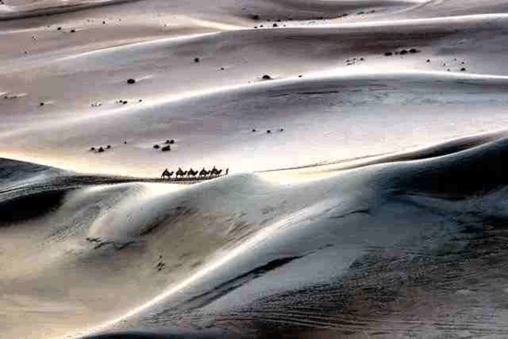 穿越风暴，至死忠心——悼念西北灵工团神仆李道生