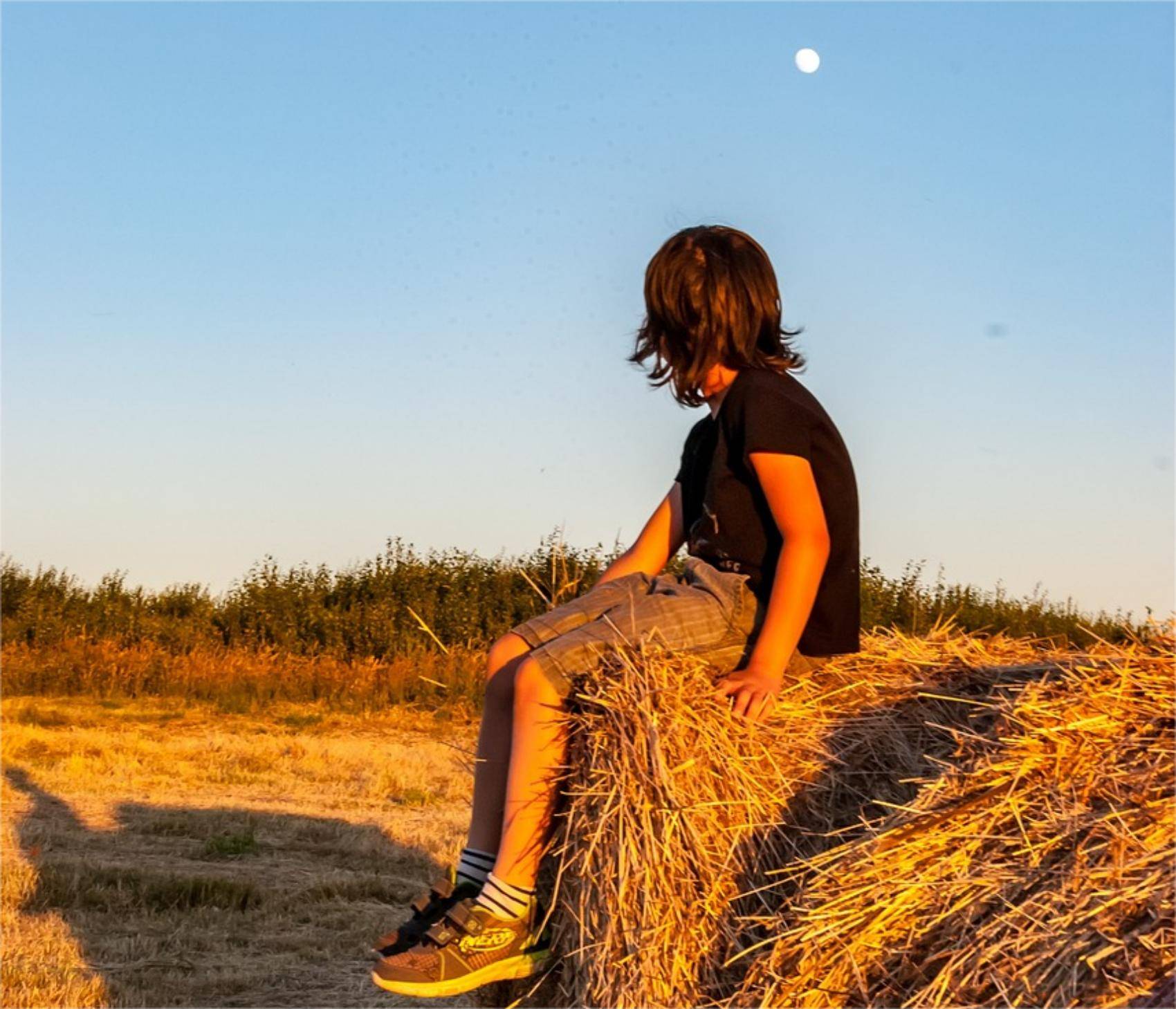 胡长老：人的计划和神的引导（仅音频）