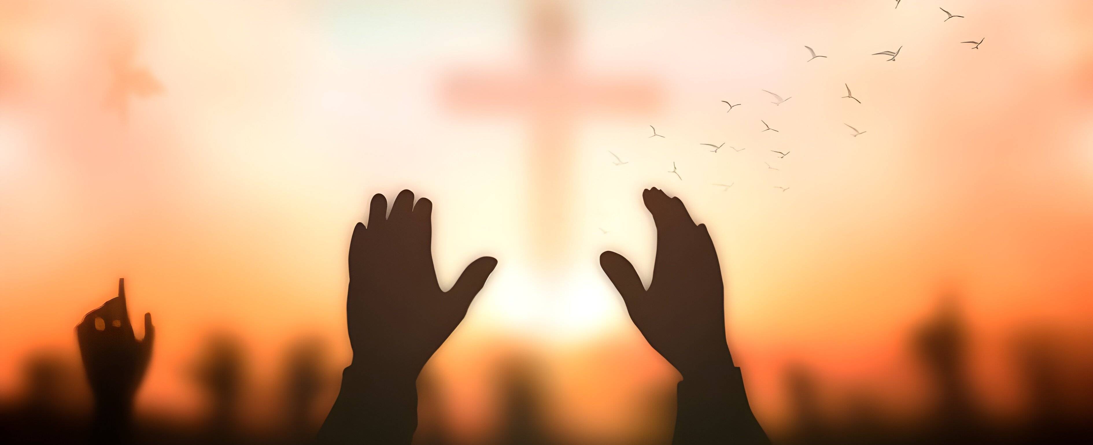 6月9日沈颖术后境界赞美敬拜会