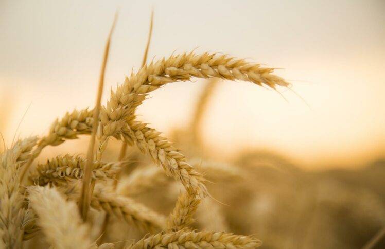 李牧师：服事/事奉的境界（上）（仅音频）