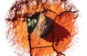 《境界》主编刘阳见证：求主破碎 求主成全