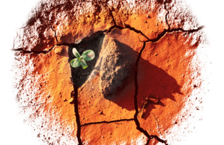 《境界》主编刘阳见证:求主破碎 求主成全