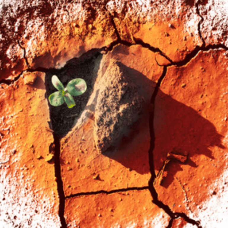 《境界》主编刘阳见证：求主破碎 求主成全