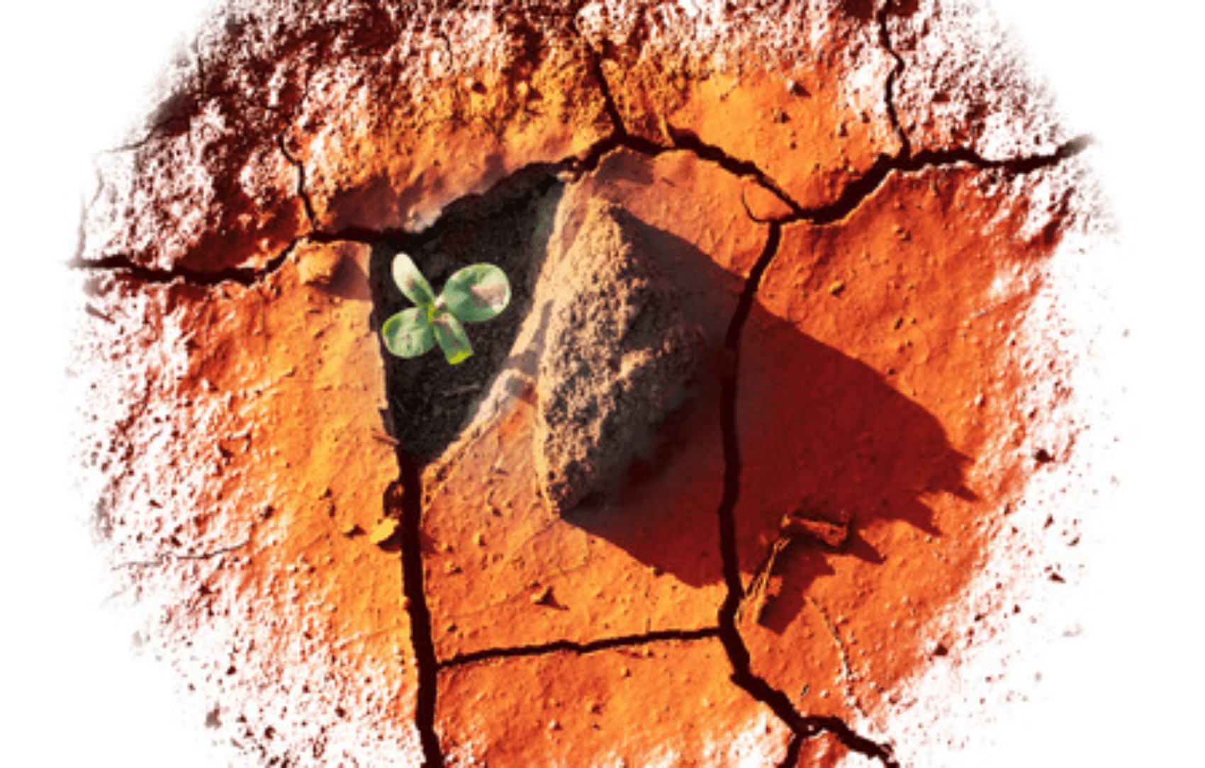 《境界》主编刘阳见证：求主破碎 求主成全