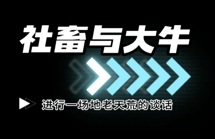 社畜与大牛，进行一场地老天荒的谈话