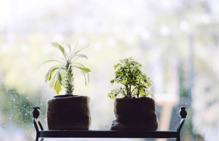 28年来，妻子就是我的眼睛