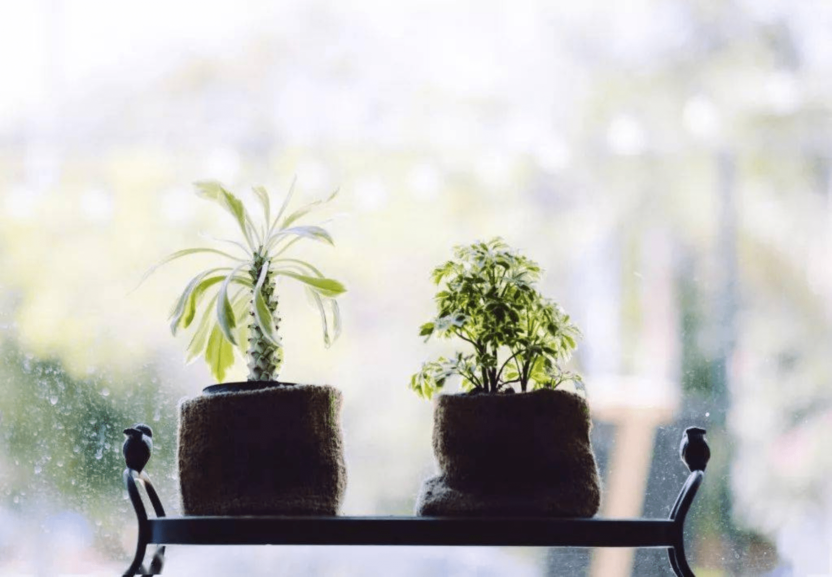 28年来，妻子就是我的眼睛