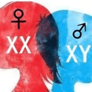 雷泽：我曾因性瘾失去牧师资格