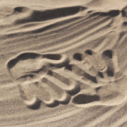 自杀的父亲、唐氏症的儿子,生活教会我什么?