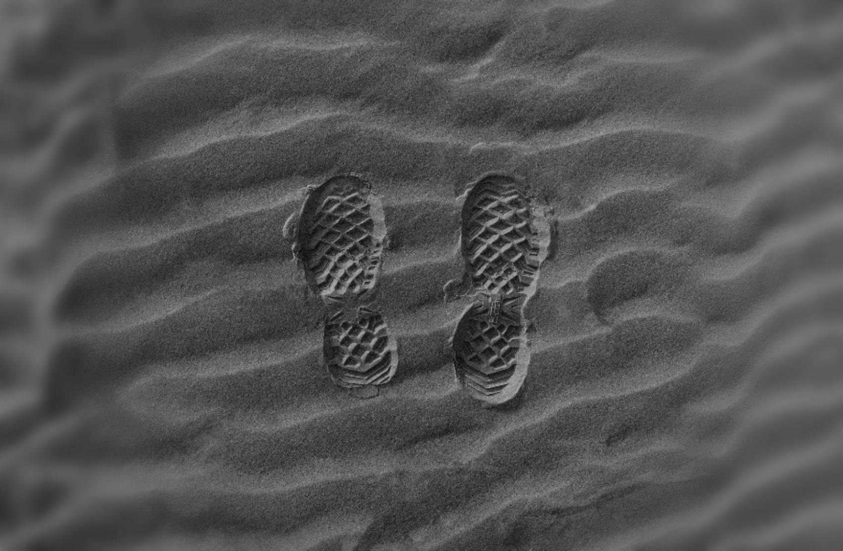 未曾一败涂地，何来舍命跟随？