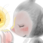 猴面包树的秘密