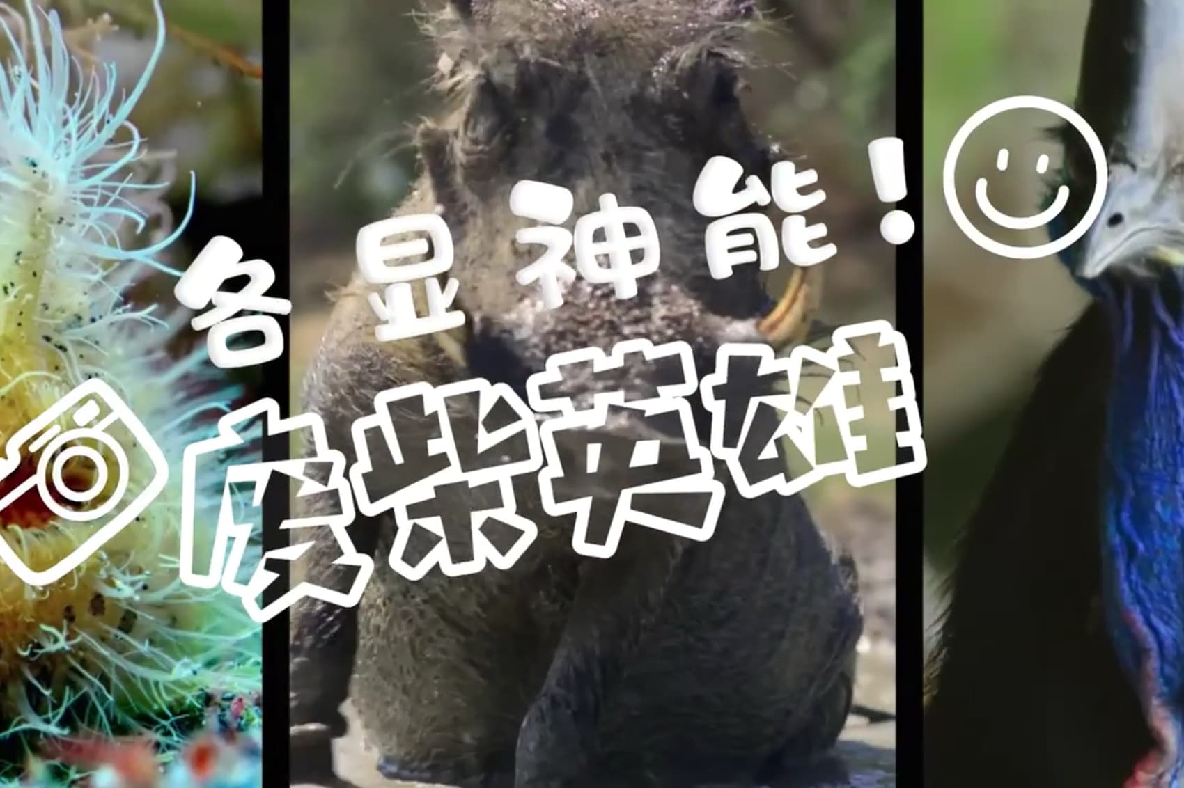 废柴英雄，各显神能！