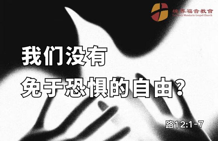 11月2日 刘阳牧师：我们没有免于恐惧的自由？