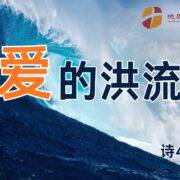11月30日 沈颖师母：爱的洪流