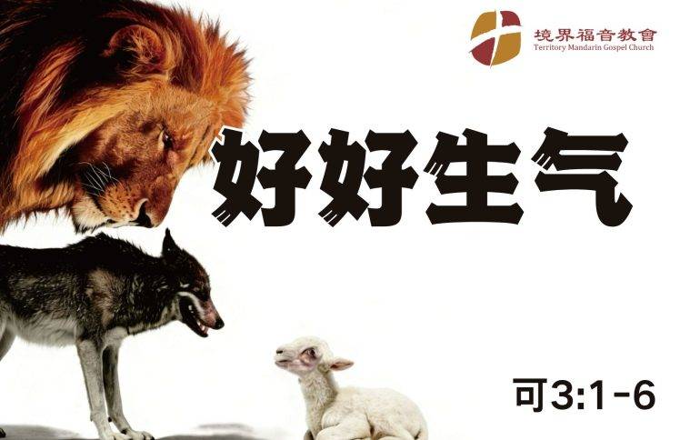 12月14日 刘阳牧师：好好生气